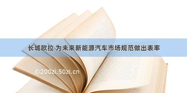 长城欧拉 为未来新能源汽车市场规范做出表率