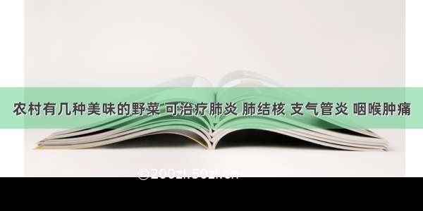 农村有几种美味的野菜 可治疗肺炎 肺结核 支气管炎 咽喉肿痛