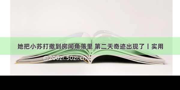 她把小苏打撒到房间角落里 第二天奇迹出现了丨实用