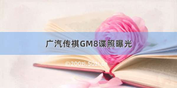 广汽传祺GM8谍照曝光