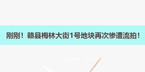 刚刚！赣县梅林大街1号地块再次惨遭流拍！