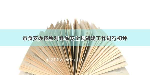 市食安办莅鲁对食品安全县创建工作进行初评