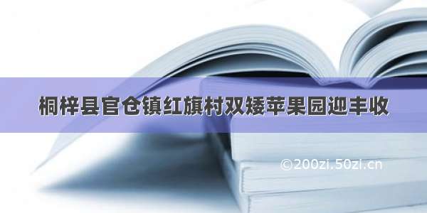 桐梓县官仓镇红旗村双矮苹果园迎丰收