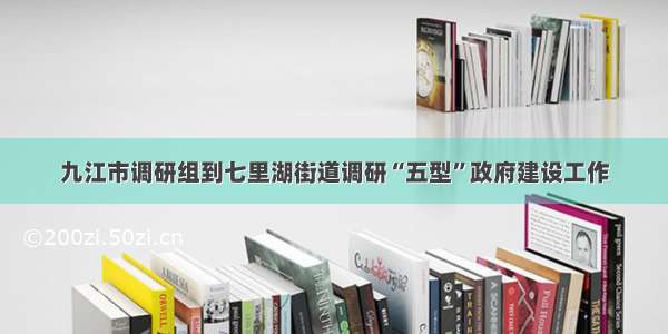 九江市调研组到七里湖街道调研“五型”政府建设工作