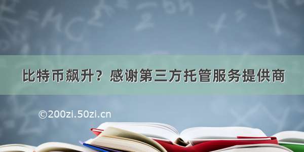 比特币飙升？感谢第三方托管服务提供商