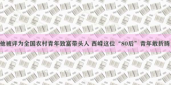 他被评为全国农村青年致富带头人 西峰这位“80后”青年敢折腾！