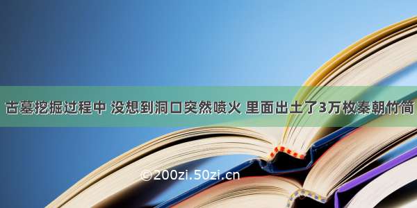 古墓挖掘过程中 没想到洞口突然喷火 里面出土了3万枚秦朝竹简