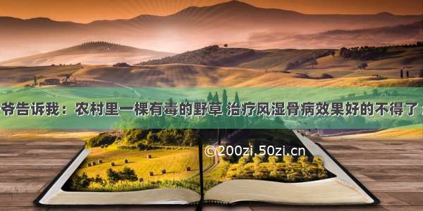 106岁李爷爷告诉我：农村里一棵有毒的野草 治疗风湿骨病效果好的不得了 赶紧告诉你