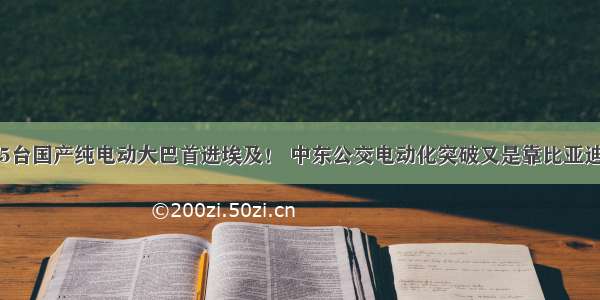 15台国产纯电动大巴首进埃及！ 中东公交电动化突破又是靠比亚迪？