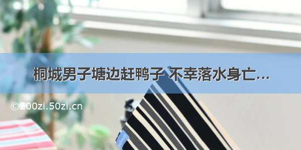 桐城男子塘边赶鸭子 不幸落水身亡…