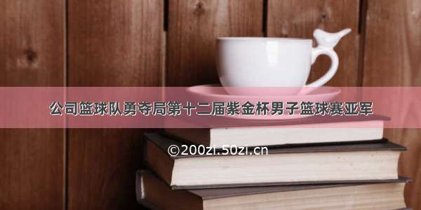 公司篮球队勇夺局第十二届紫金杯男子篮球赛亚军