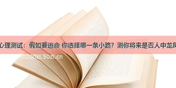 心理测试：假如要逃命 你选择哪一条小路？测你将来是否人中龙凤