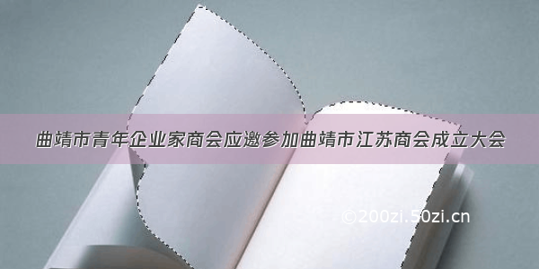 曲靖市青年企业家商会应邀参加曲靖市江苏商会成立大会