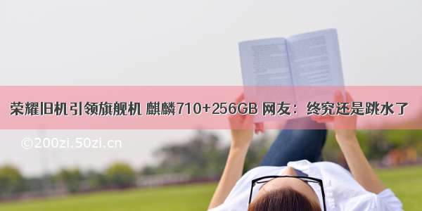 荣耀旧机引领旗舰机 麒麟710+256GB 网友：终究还是跳水了