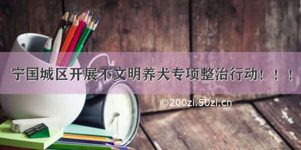 宁国城区开展不文明养犬专项整治行动！！！