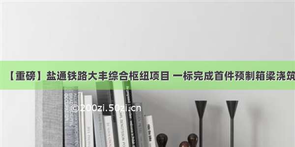 【重磅】盐通铁路大丰综合枢纽项目 一标完成首件预制箱梁浇筑