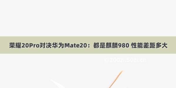 荣耀20Pro对决华为Mate20：都是麒麟980 性能差距多大