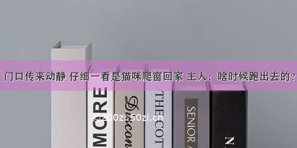 门口传来动静 仔细一看是猫咪爬窗回家 主人：啥时候跑出去的？