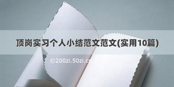 顶岗实习个人小结范文范文(实用10篇)