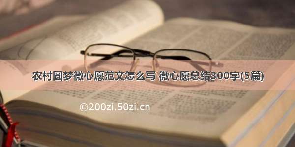 农村圆梦微心愿范文怎么写 微心愿总结300字(5篇)