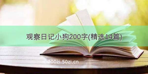 观察日记小狗200字(精选14篇)
