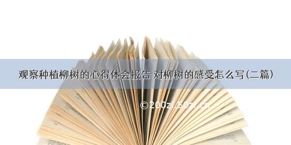 观察种植柳树的心得体会报告 对柳树的感受怎么写(二篇)