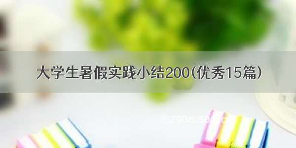 大学生暑假实践小结200(优秀15篇)