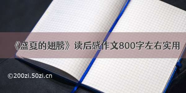 《盛夏的翅膀》读后感作文800字左右实用