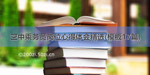 空中乘务员岗位心得体会精选(模板17篇)