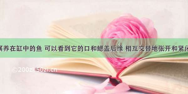 单选题观察养在缸中的鱼 可以看到它的口和鳃盖后缘 相互交替地张开和紧闭 这是鱼在