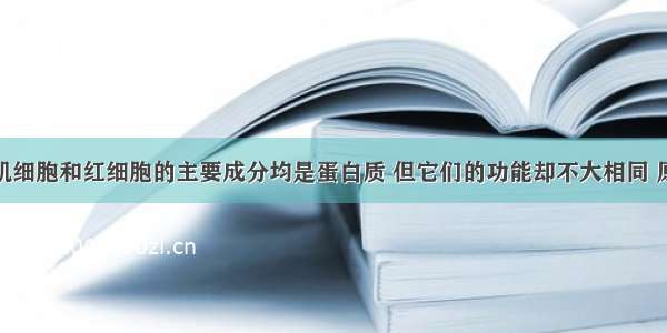 单选题人体肌细胞和红细胞的主要成分均是蛋白质 但它们的功能却不大相同 原因是A.构成