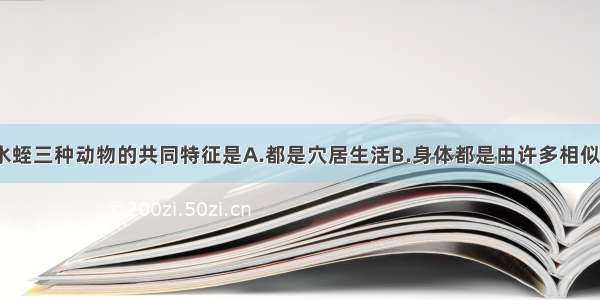 蚯蚓 沙蚕 水蛭三种动物的共同特征是A.都是穴居生活B.身体都是由许多相似的环状体节