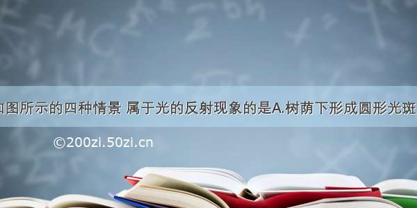 单选题如图所示的四种情景 属于光的反射现象的是A.树荫下形成圆形光斑B.斑马倒