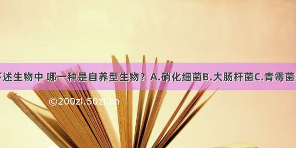 单选题下述生物中 哪一种是自养型生物？A.硝化细菌B.大肠杆菌C.青霉菌D.酵母菌