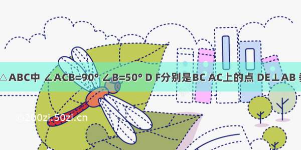 如图 Rt△ABC中 ∠ACB=90° ∠B=50° D F分别是BC AC上的点 DE⊥AB 垂足为E 