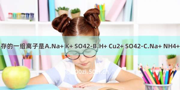 在pH=14的溶液中能大量共存的一组离子是A.Na+ K+ SO42-B.H+ Cu2+ SO42-C.Na+ NH4+ NO3-D.Ca2+ NO3- CO32-