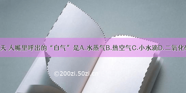 冬天 人嘴里呼出的“白气”是A.水蒸气B.热空气C.小水滴D.二氧化碳