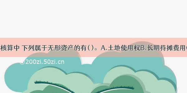 在银行会计核算中 下列属于无形资产的有( )。A.土地使用权B.长期待摊费用C.专利权D.