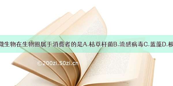 下列微生物在生物圈属于消费者的是A.枯草杆菌B.流感病毒C.蓝藻D.根瘤菌