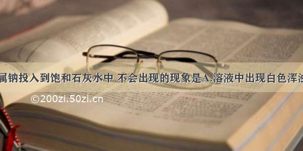 把一小块金属钠投入到饱和石灰水中 不会出现的现象是A.溶液中出现白色浑浊物B.有金属