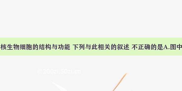 下图表示真核生物细胞的结构与功能 下列与此相关的叙述 不正确的是A.图中物质甲表示