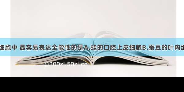 单选题下列细胞中 最容易表达全能性的是A.蛙的口腔上皮细胞B.蚕豆的叶肉细胞。C.蛔虫