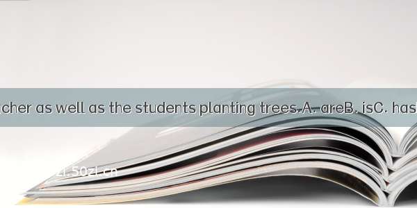 . The teacher as well as the students planting trees.A. areB. isC. hasD. have