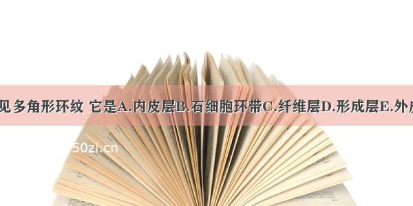 川乌断面可见多角形环纹 它是A.内皮层B.石细胞环带C.纤维层D.形成层E.外皮层ABCDE