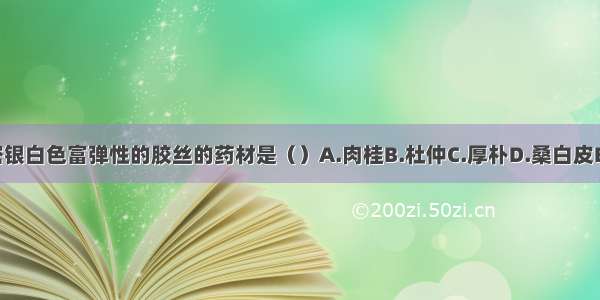 折断时有细密银白色富弹性的胶丝的药材是（）A.肉桂B.杜仲C.厚朴D.桑白皮E.秦皮ABCDE