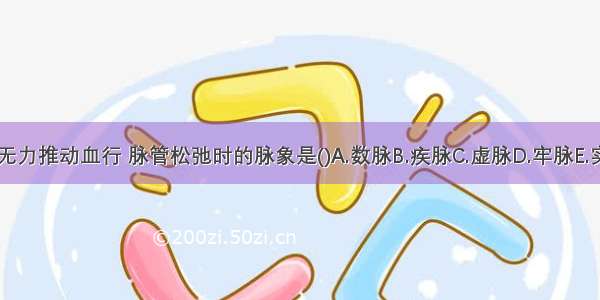 气血两虚 无力推动血行 脉管松弛时的脉象是()A.数脉B.疾脉C.虚脉D.牢脉E.实脉ABCDE