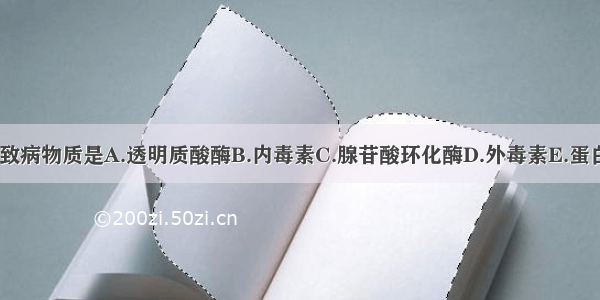 痢疾杆菌的主要致病物质是A.透明质酸酶B.内毒素C.腺苷酸环化酶D.外毒素E.蛋白水解酶ABCDE