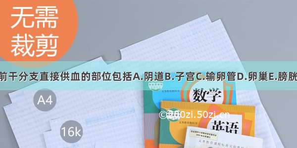 髂内动脉前干分支直接供血的部位包括A.阴道B.子宫C.输卵管D.卵巢E.膀胱顶 膀胱颈