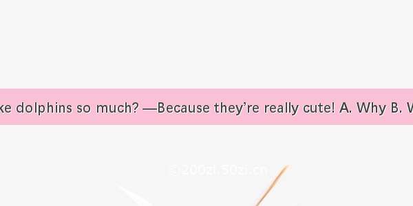 — do you like dolphins so much? —Because they’re really cute! A. Why B. Who C. When