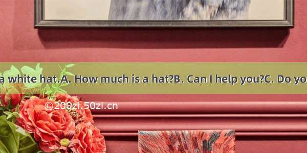 - _ __. -I want a white hat.A. How much is a hat?B. Can I help you?C. Do you have a hat?D